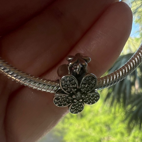 Dazzling Daisy Duo Charm - Picture 10 of 15